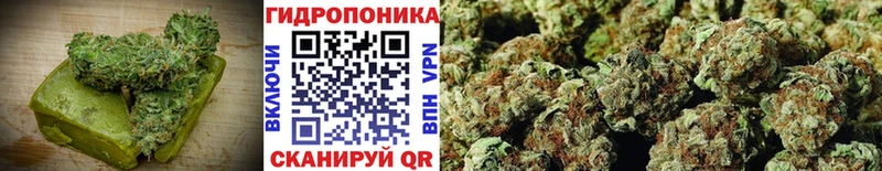 купить наркотик  Гусев  Печенье с ТГК конопля 