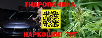 прущие крисы Беслан