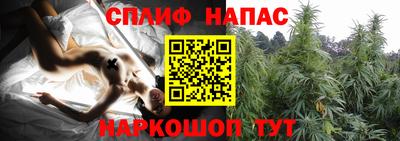 спиды Гусев