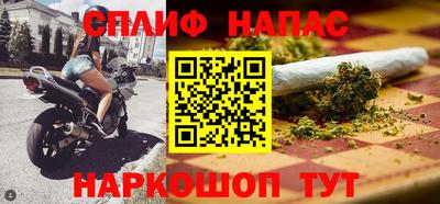 jwh Бийск