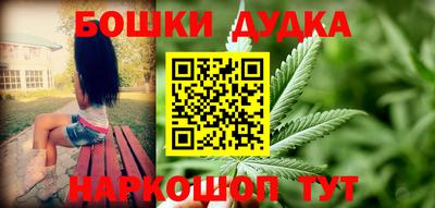 jwh Бийск