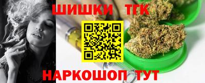 jwh Бийск