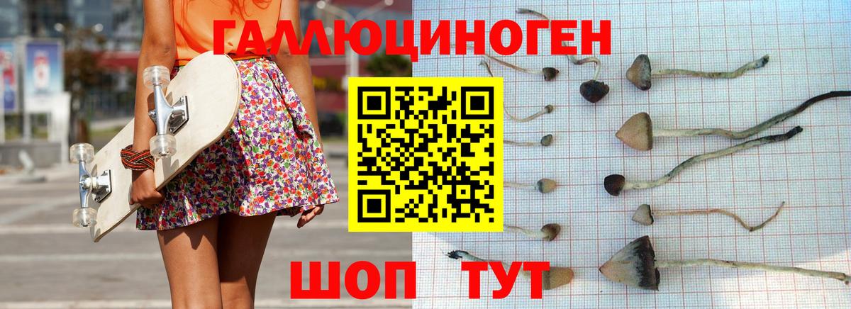 Псилоцибиновые грибы Psilocybine cubensis  цены наркотик  Гусев 