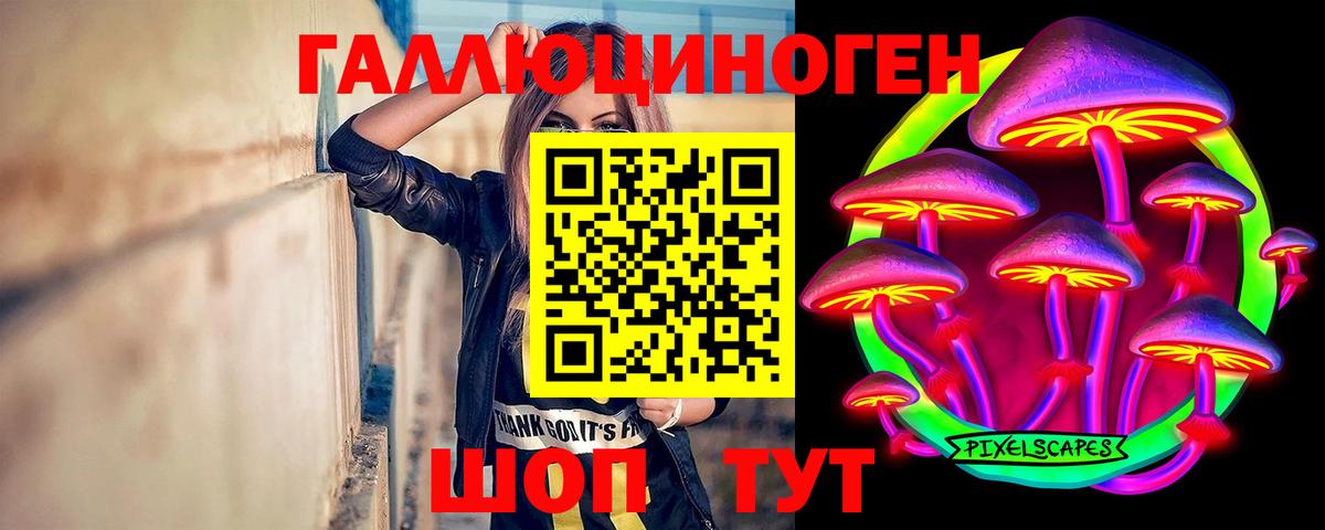 Псилоцибиновые грибы мицелий  Вход с VPN  Гусев 
