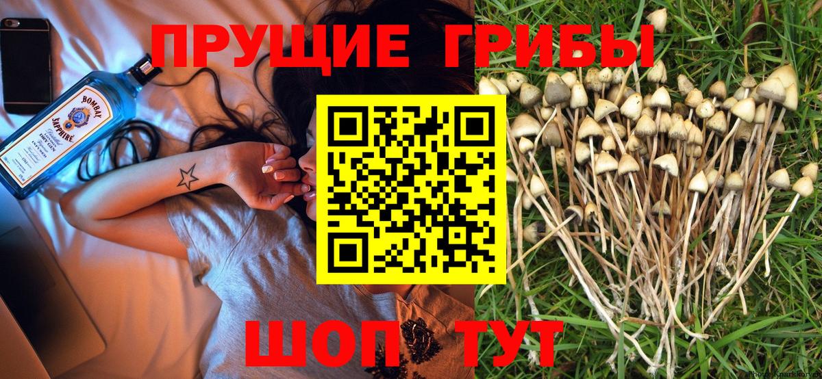 Псилоцибиновые грибы мухоморы Гусев